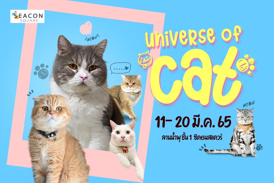 งาน Universe of CAT 