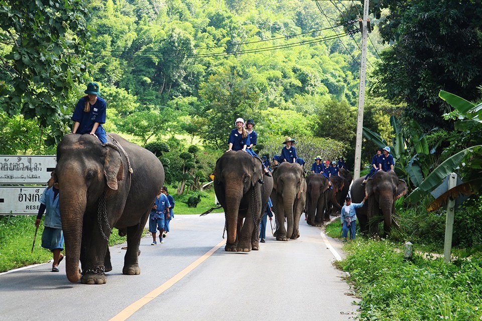 วธ.ร่วมอนุรักษ์ภูมิปัญญาช้างไทย ส่งเสริมศูนย์อนุรักษ์ช้างไทย ลำปางเป็นแหล่งเรียนรู้ทางวัฒนธรรม-ท่องเที่ยววิถีชีวิตช้าง คนเลี้ยงช้าง ยกระดับประเพณีงานบวชหลังช้างจากท้องถิ่น สู่ระดับประเทศ