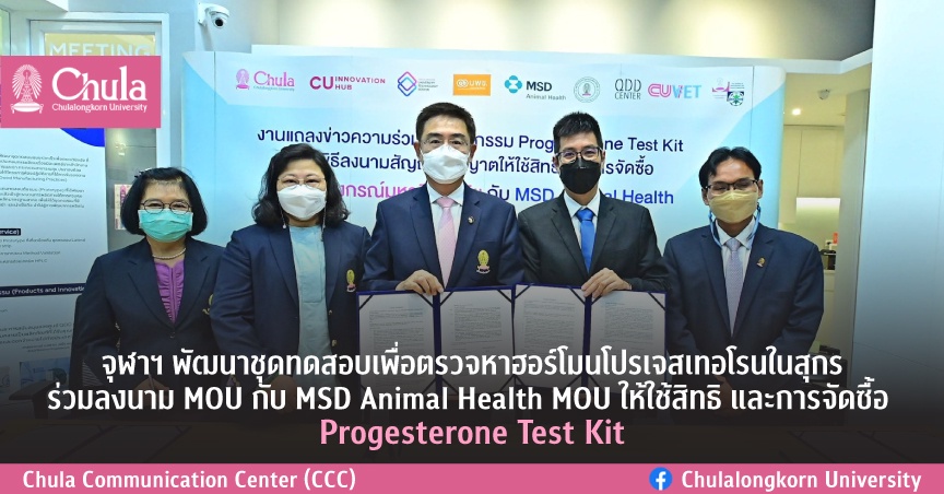 จุฬาฯ พัฒนาชุดทดสอบเพื่อตรวจหาฮอร์โมนโปรเจสเทอโรนในสุกร ร่วมลงนาม MOU กับ MSD Animal Health MOU ให้ใช้สิทธิ และการจัดซื้อ Progesterone Test