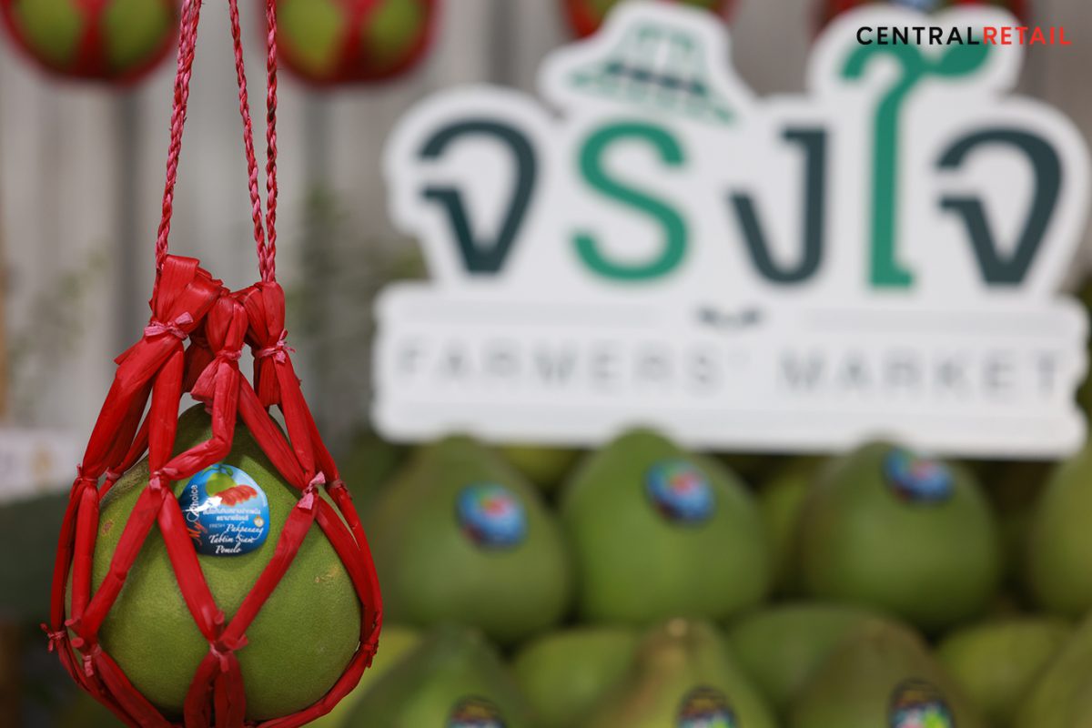 ท็อปส์ ขยายตลาดสินค้า GI หนุนเกษตรกรชาวสวนนครศรีฯ ปิดดีลสั่งซื้อล่วงหน้า ส้มโอทับทิมสยามปากพนัง ล็อตใหญ่ ส่งขาย ท็อปส์ กว่า 100