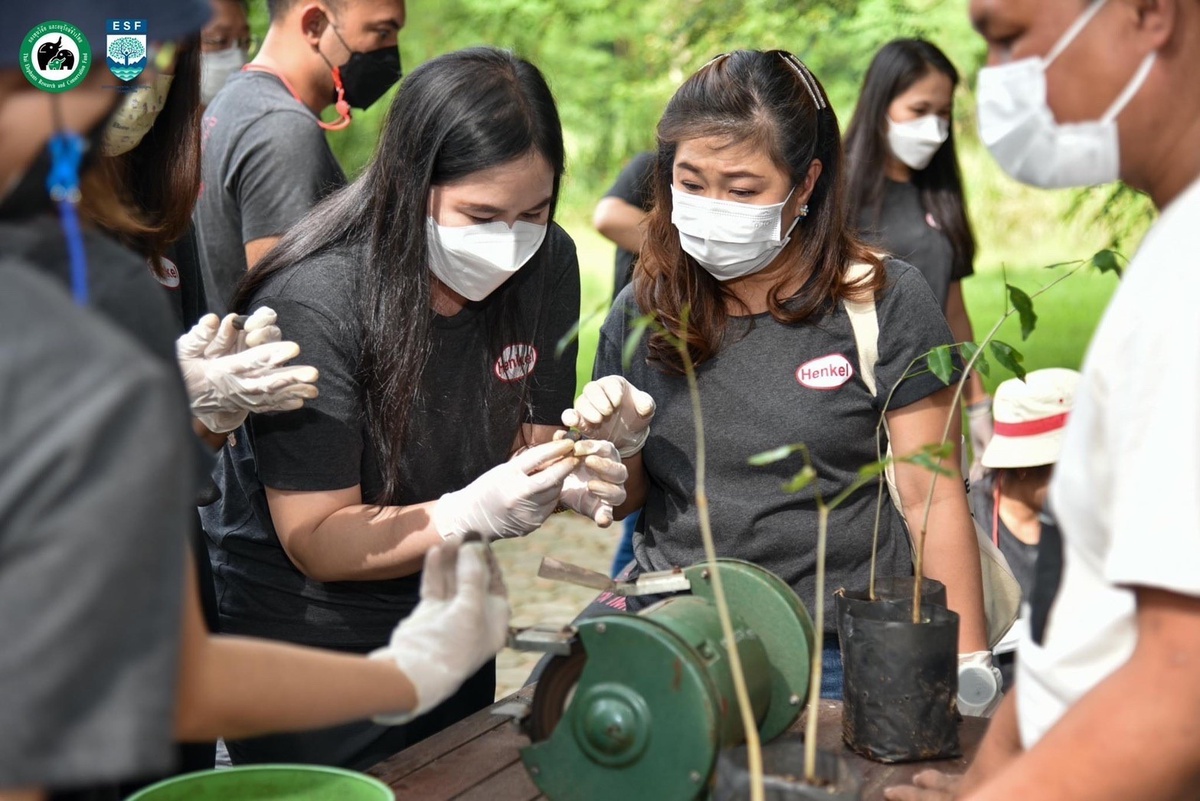 เฮงเค็ล ประเทศไทย ฉลองครบรอบ 50 ปี พาพนักงานทำงานเพื่อสังคมและอนุรักษ์ธรรมชาติ