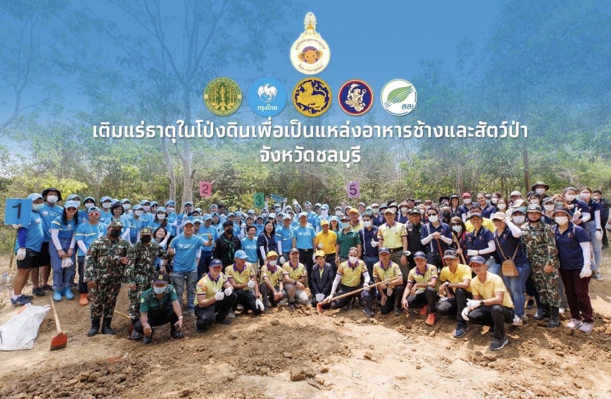 กรุงไทย ร่วมกับ ทิพยประกันภัย มอบประกันอุบัติเหตุอาสาสมัครมูลนิธิพัชรสุธาคชานุรักษ์ ช่วยชุมชนและช้างป่าอยู่ร่วมกันอย่างยั่งยืน