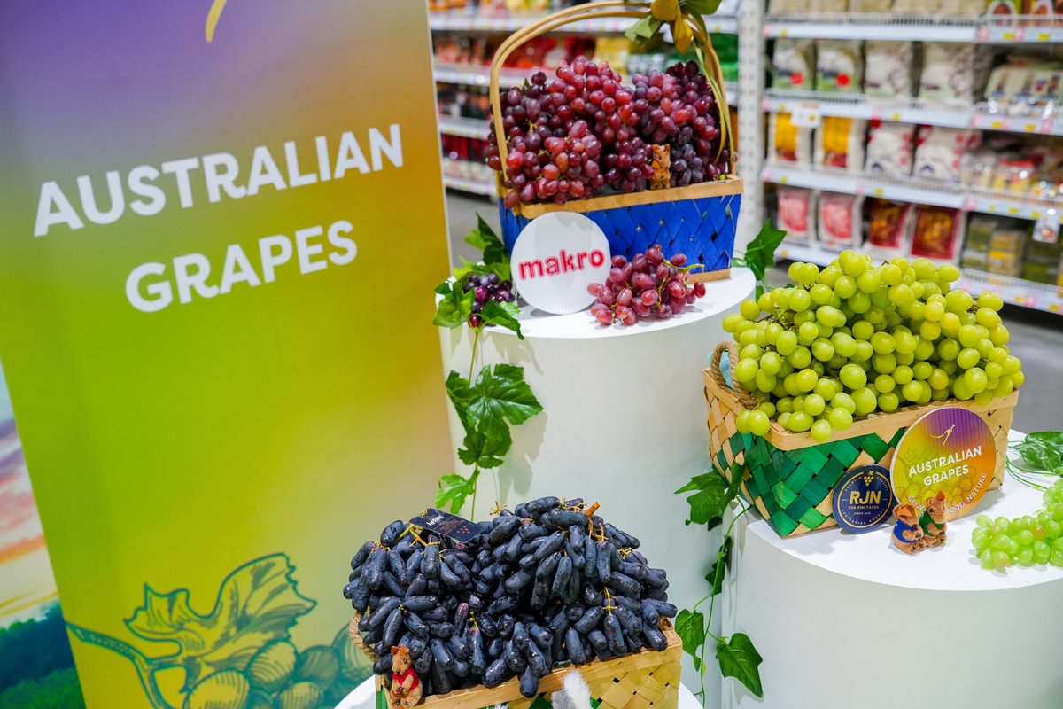 แม็คโคร เปิดฤดูกาลองุ่นออสเตรเลีย The Launch of Australian Table Grape Season นำผลผลิตคุณภาพดี ส่งตรงถึงไทย รับธุรกิจ โรงแรม ร้านอาหาร