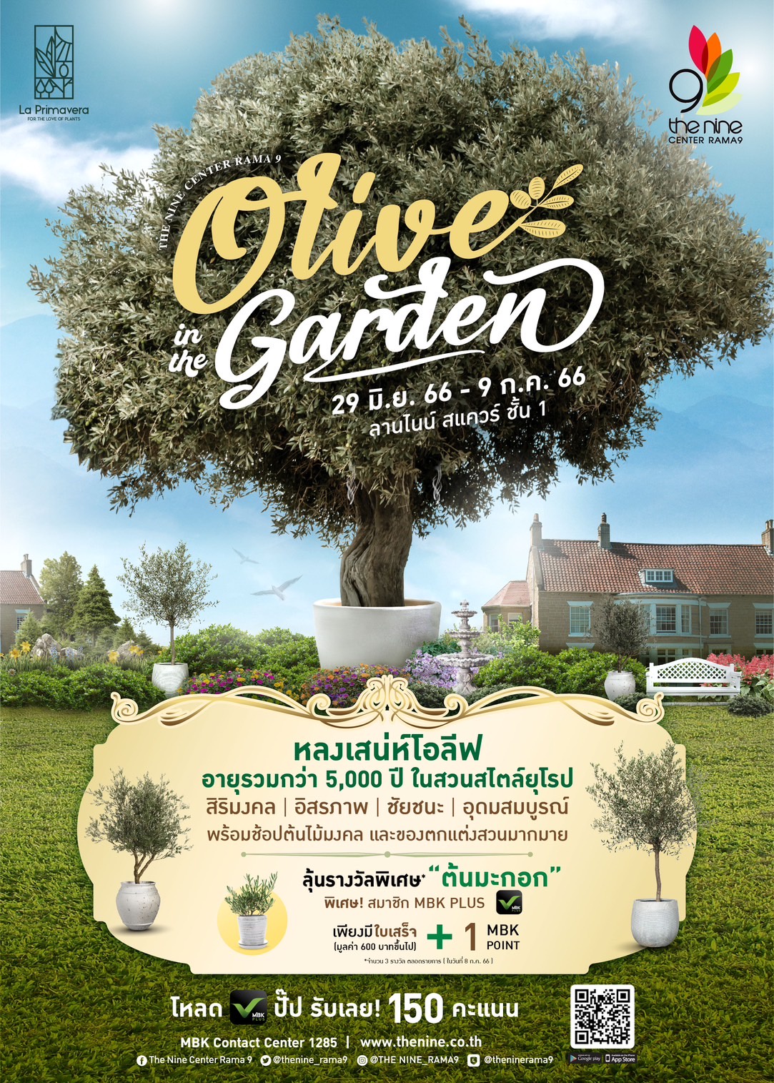 เดอะไนน์ เซ็นเตอร์ พระราม 9 พาชมเสน่ห์ต้นมะกอกโอลีฟ สง่างามเหนือกาลเวลา ในงาน Olive in the Garden