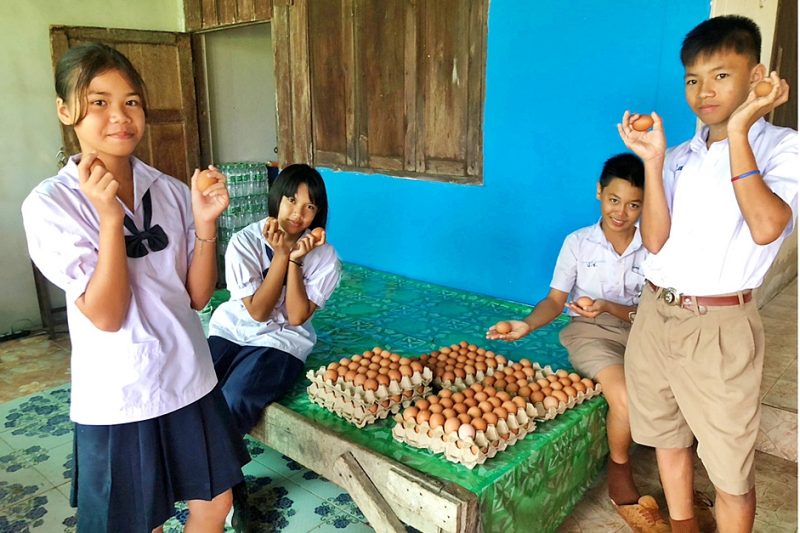 รร.ประชาพัฒนาบ้านแฮด จ.ขอนแก่น สอนนักเรียนสร้างคลังอาหารในโรงเรียน-ชุมชน เดินหน้า โครงการเลี้ยงไก่ไข่เพื่ออาหารกลางวันนักเรียน ปีที่