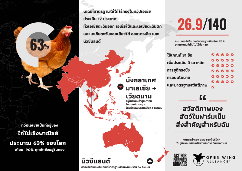 รายงานใหม่เผยถึงเกณฑ์วัดมาตรฐานไข่ไก่ไร้กรงในทวีปเอเชีย พบไทยต่ำประเมินเหตุไร้นโยบายชัดเจนและการบังคับใช้กฏหมาย