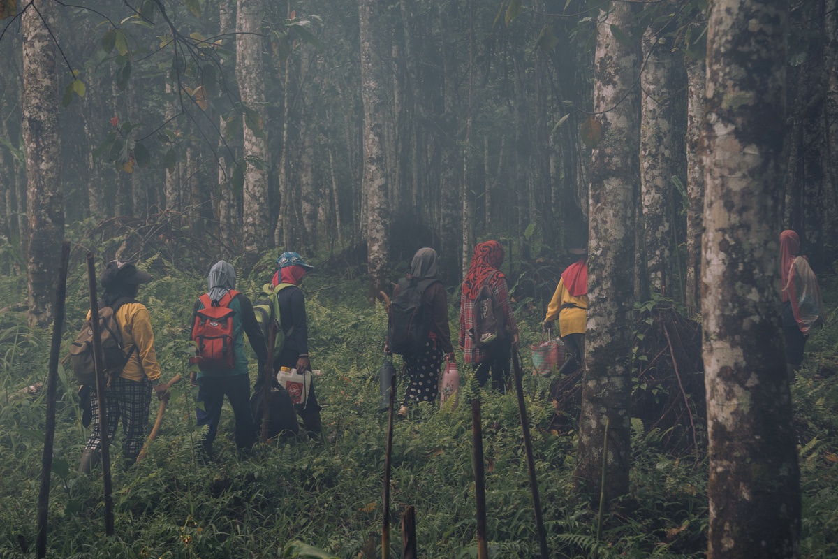 ผู้หญิง กับบทบาทในการอนุรักษ์ป่าฝนในเอเชียตะวันออกเฉียงใต้