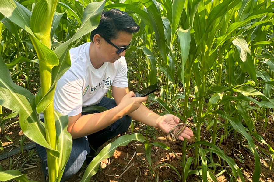 Bangkok Produce Merchandising Initiates Third-Party Assessment for Enhanced Integrity and Transparency in Corn Traceability