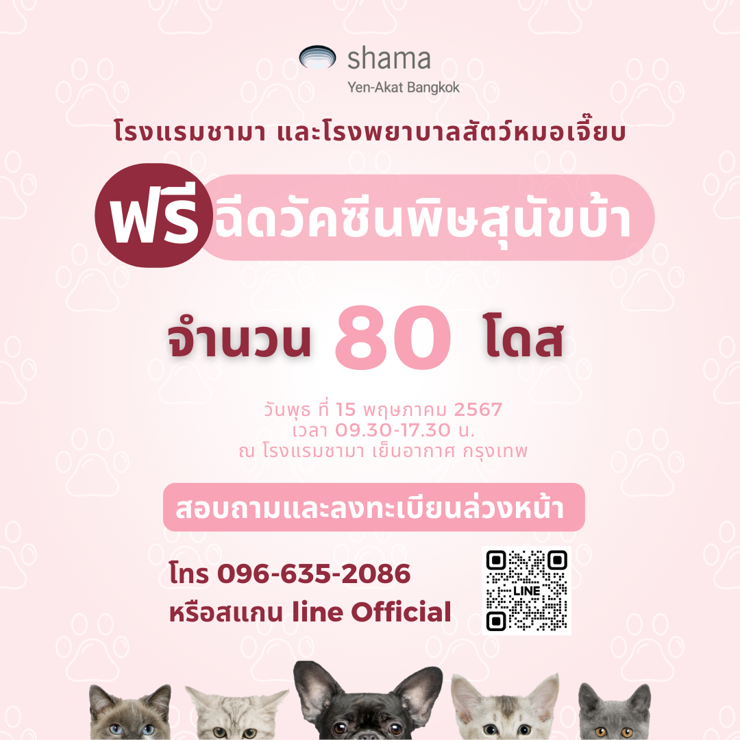 Shama Yen-Akat Bangkok โรงแรม Pet Friendly ย่านสาทร เล็งเห็นปัญหาสัตว์ไร้บ้าน เปิดให้บริการ ฉีดวัคซีนพิษสุนัขบ้า
