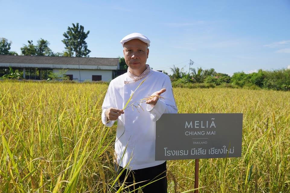 Chiang Mai Hotel's Organic Farming Initiative Burgeons With New Partnership