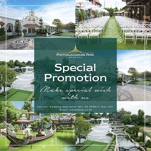 Special Wedding Promotion