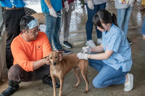 ภาพข่าว: รพส.ทองหล่อ นำทีมสัตวแพทย์ฉีดวัคซีนสุนัข ปันน้ำใจเพื่อนสี่ขาที่มูลนิธิบ้านสงเคราะห์สัตว์พิการ จ.นครปฐม