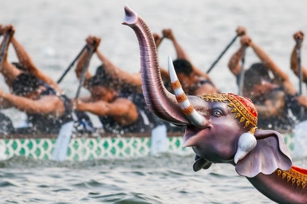 งานการแข่งขันเรือยาวช้างไทย และเทศกาลริมน้ำ เพื่อช่วยเหลือช้างไทย ปิดฉากด้วยความสำเร็จอีกครั้ง