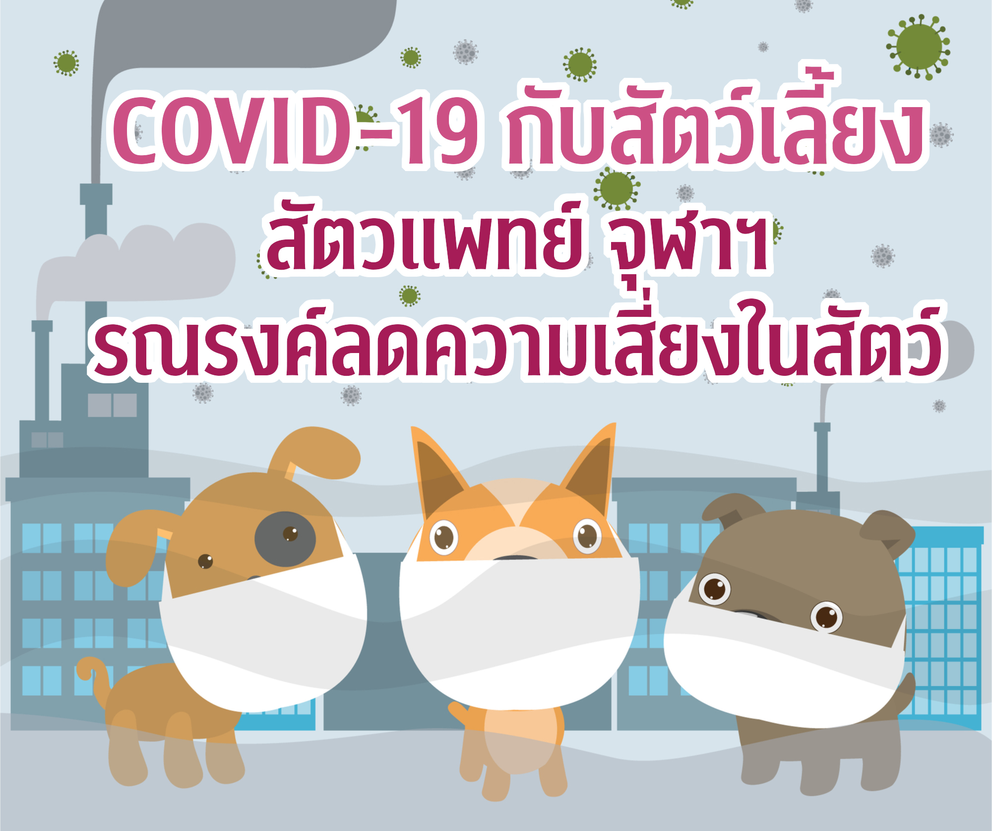 COVID-19 กับสัตว์เลี้ยง สัตวแพทย์ จุฬาฯ รณรงค์ลดความเสี่ยง COVID-19 ในสัตว์