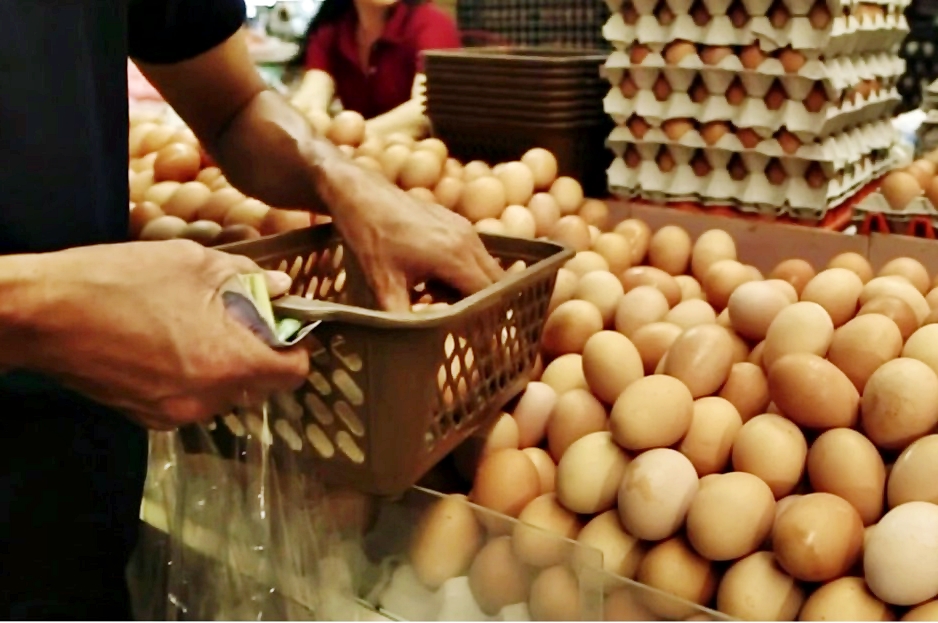 เกษตรกรไก่ไข่ ยันไข่เพียงพอกับการบริโภค ชี้ร้อนแล้งกระทบผลผลิต เกษตรกรมีต้นทุนค่าน้ำ-ไฟร่วม 10 สตางค์ต่อฟอง