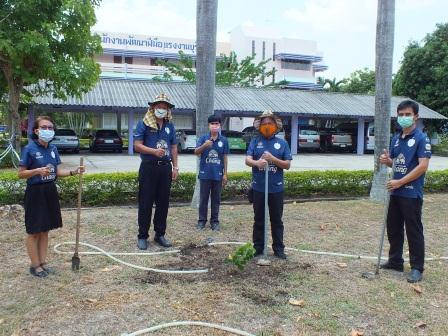 ภาพข่าว: สนพ.บุรีรัมย์ รวมใจไทย ปลูกต้นไม้ เพื่อแผ่นดิน