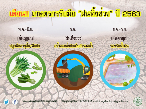 กรมส่งเสริมการเกษตร เตือนเกษตรกรวางแผนรับมือฝนทิ้งช่วงกลางฤดูฝน ปี 2563