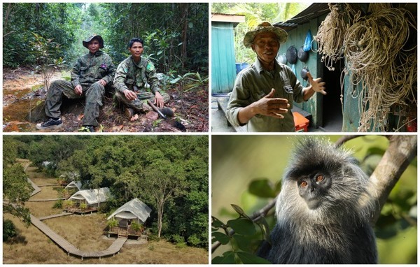 การท่องเที่ยวเชิงอนุรักษ์การปกป้องสัตว์ป่าในกัมพูชา