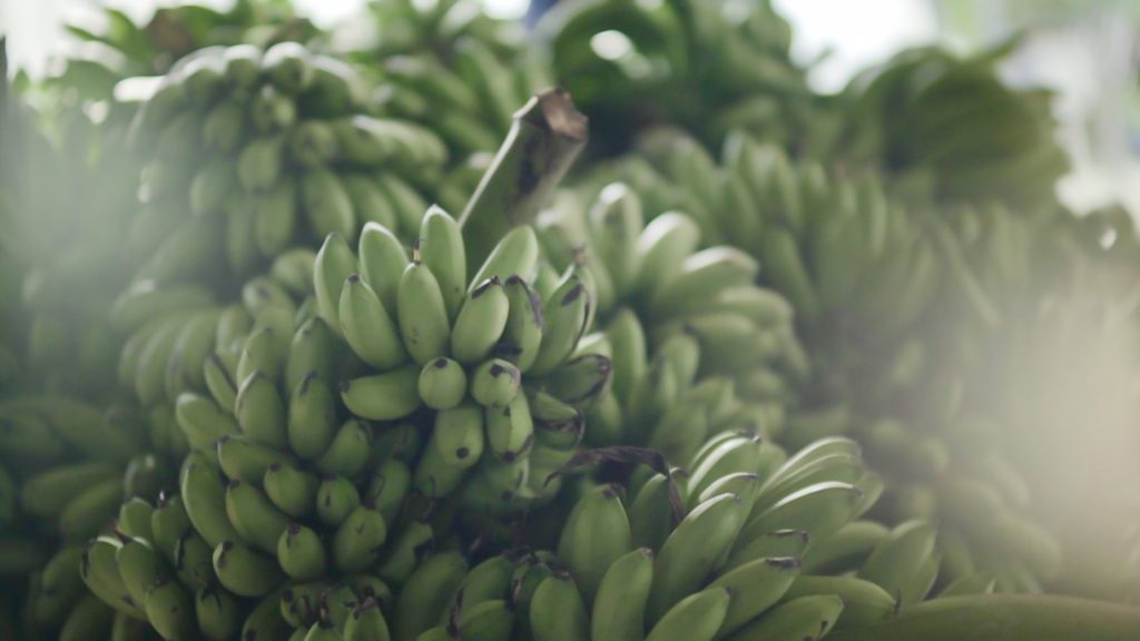 'กล้วยเมืองลุง สแน็คเพื่อสุขภาพ จากวิสาหกิจชุมชนยกระดับสู่เซเว่นฯ ช่วยคนภาคเกษตร มีกิน มีใช้ ด้วยรายได้ที่มั่นคง