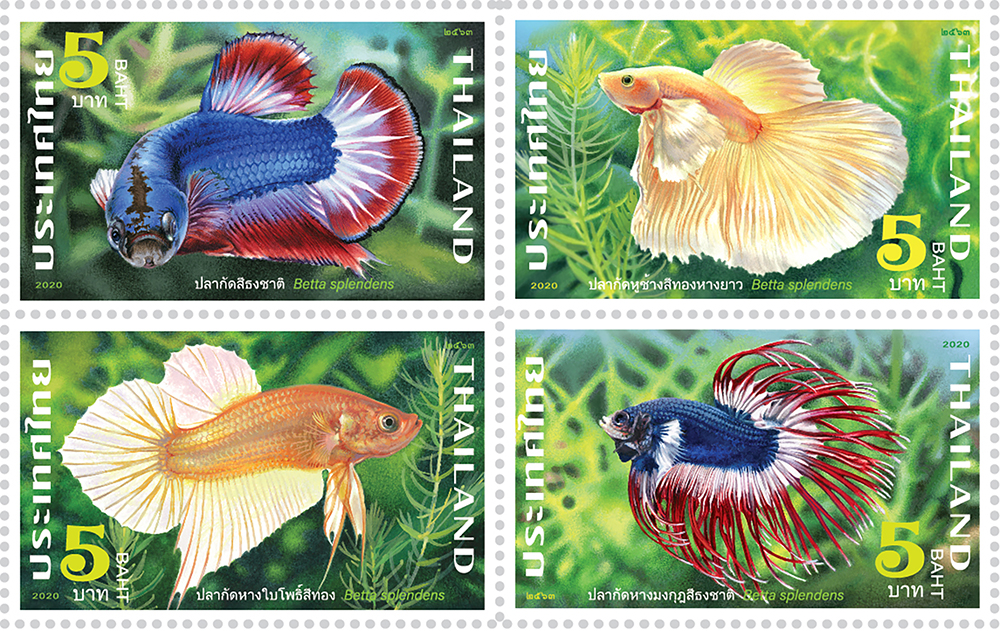 ไปรษณีย์ไทย เปิดตัวแสตมป์ชุดปลากัด 4 สายพันธุ์ หลังประกาศขึ้นเป็นสัตว์น้ำประจำชาติของไทย เริ่มจำหน่ายวันแรก 21