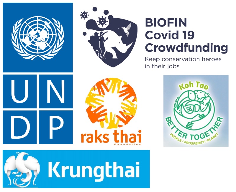 UNDP จับมือกรุงไทย มูลนิธิรักษ์ไทย ศิลปินนักแสดง จัดงาน Big Cleaning Day ระดมทุนฟื้นฟูเกาะเต่า