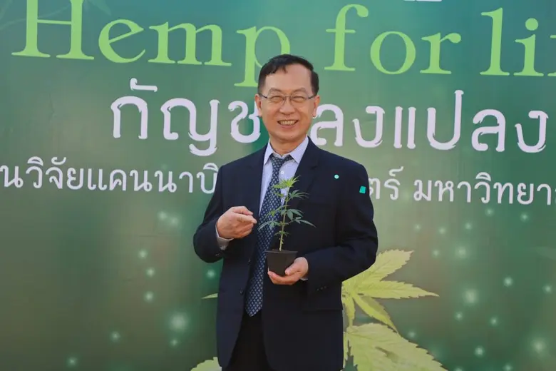 มข.ปลูก "กัญชงลงแปลง" หวังวิจัย ประเมิน พัฒนาสายพันธุ์เพื่อการแพทย์ และอุตสาหกรรม