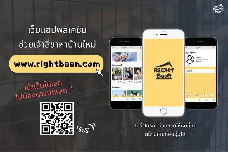นิสิตสัตวแพทย์ จุฬาฯ พัฒนาเว็บแอปพลิเคชัน "RightBaan" สื่อกลางรวบรวมสัตว์จรจัด ที่รอเจ้าของใหม่มารับกลับบ้าน
