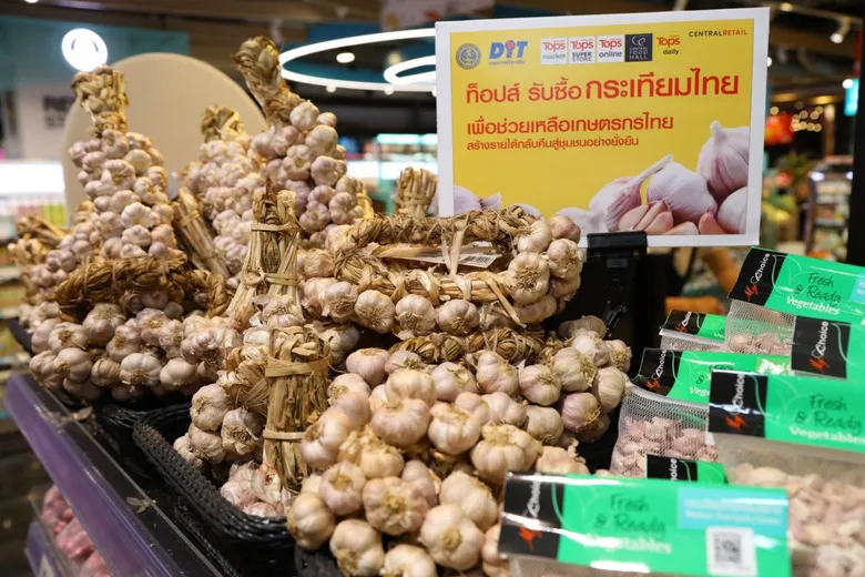 Tops partners with Department of Internal Trade to actively assist garlic farmers in the North to boost the purchase of Thai garlic by 30%