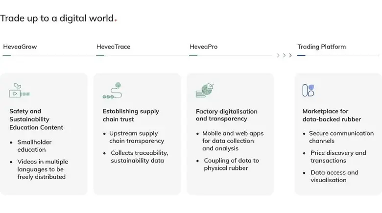 HeveaConnect ตลาดดิจิทัลสำหรับซื้อขายยางธรรมชาติที่ผลิตอย่างยั่งยืน เปิดรับการลงทุนจาก Singapore Exchange