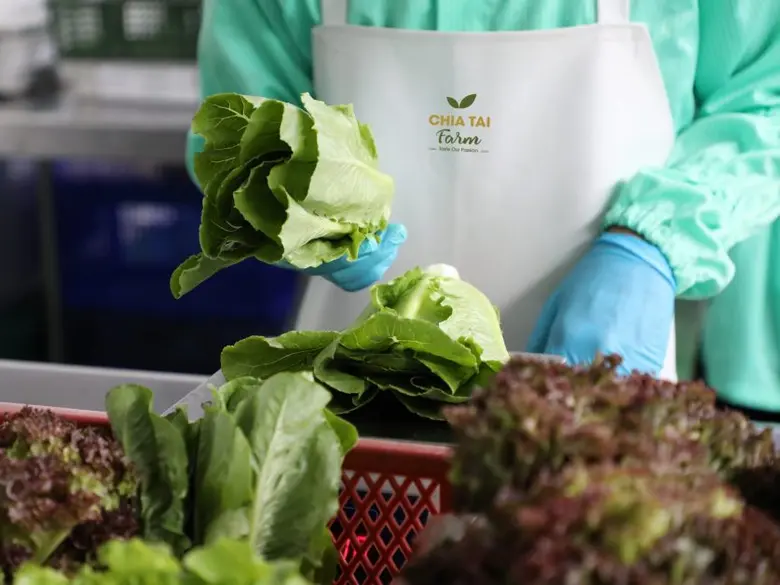 Chia Tai Receives Q Mark Certifying Product Safety and Standards