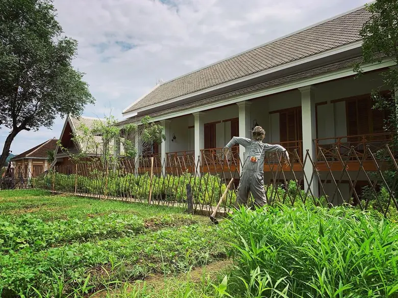 Avani Hotels Honours Earth Day with Sustainable Well-being Initiatives