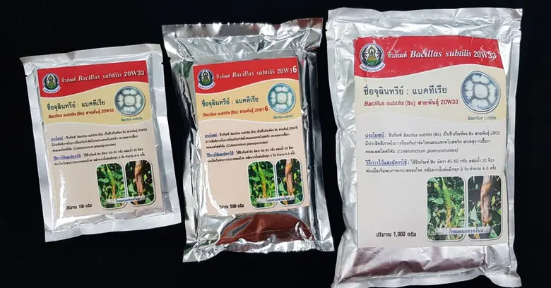 เกษตรฯ ชงปลดล็อคขั้นตอนขึ้นทะเบียน 17 ชีวภัณฑ์