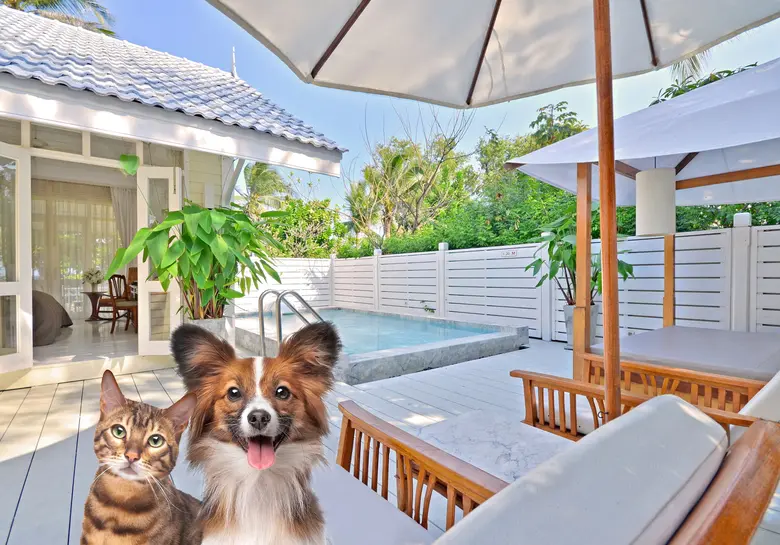 CENTARA GRAND BEACH RESORT & VILLAS HUA HIN LAUNCHES FIRST PET-FRIENDLY POOL VILLA ACCOMODATION IN HUA HIN