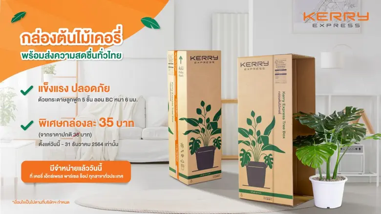 เคอรี่ เอ็กซ์เพรส เจาะเทรนด์รักต้นไม้มาแรง เปิดตัวกล่องต้นไม้เป็นครั้งแรก เพิ่มประสบการณ์จัดส่งต้นไม้ในยุคนิวนอร์มอล