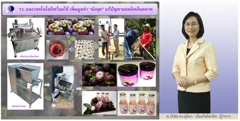 วว. แนะเทคโนโลยีพร้อมใช้ เพิ่มมูลค่า "มังคุด"  แก้ปัญหาผลผลิตล้นตลาด/ปัญหาการส่งออกจากผลกระทบโควิด-19