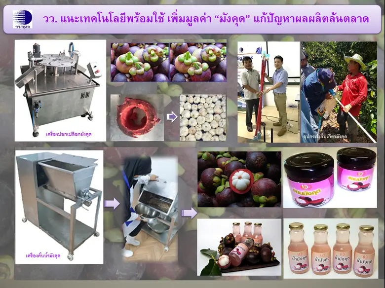 วว. แนะเทคโนโลยีพร้อมใช้ เพิ่มมูลค่า "มังคุด" แก้ปัญหาผลผลิตล้นตลาด/ปัญหาการส่งออกจากผลกระทบโควิด-19