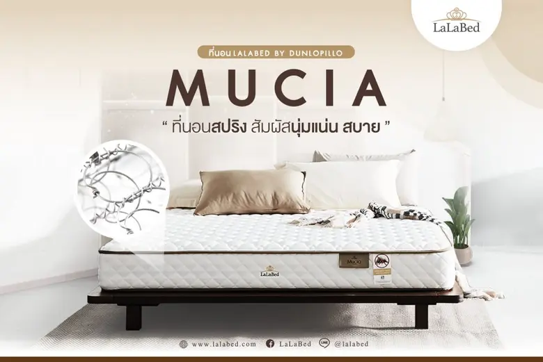 พักผ่อนอย่างมีคุณภาพ นอนสัมผัสนุ่มไปกับ Mucia ที่นอนสปริง LaLaBed
