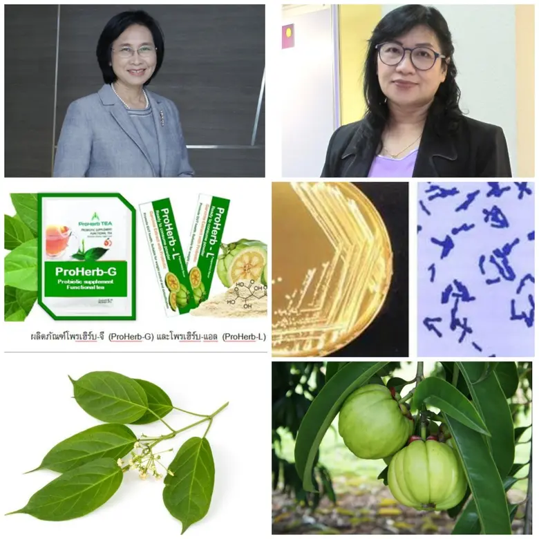 วว. วิจัยพัฒนาผลิตภัณฑ์ฟังก์ชันนัล  "โพรเฮิร์บ"  ควบคุมภาวะเบาหวาน  ความดันโลหิตสูง ในผู้สูงวัย ตอบโจทย์การพัฒนาเทคโนโลยีด้านอุตสาหกรรมแปรรูปของประเทศ