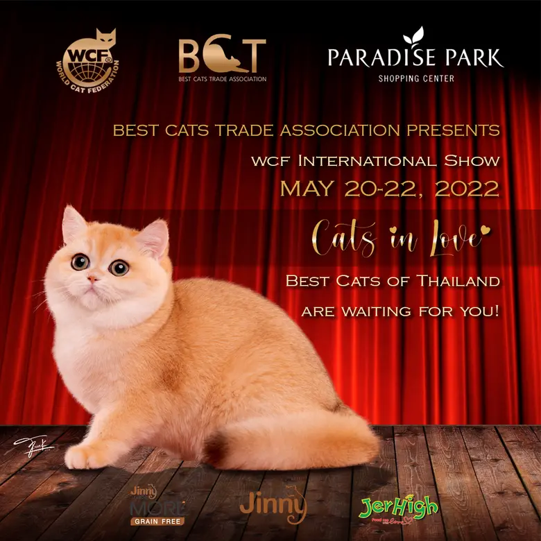 พาราไดซ์ พาร์ค เอาใจทาสแมว ชวนมางาน Best Cats Of Thailand 2022 พบการประกวดแมวสายพันธุ์แท้แห่งปี และกิจกรรมที่รวมทุกสิ่งเกี่ยวกับน้องเหมียว