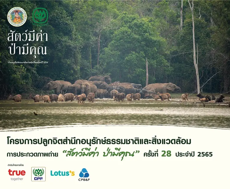 เปิดโครงการปลูกจิตสำนึกอนุรักษ์ธรรมชาติและสิ่งแวดล้อม การประกวดภาพถ่าย 'สัตว์มีค่า ป่ามีคุณ' คร้งที่ 28 ประจำปี 2565