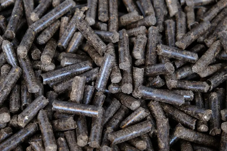 TTCL joins hands with Blackwood Technology, investing in Demonstration Plant for torrefied biomass pellets by using "FlashTor(R)"