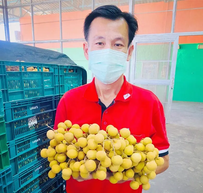 พี่ไปรฯ ส่งลำไยล็อตใหญ่ปลอดสาร เสิร์ฟความหวานกรอบจากสวนส่งตรงถึงหน้าบ้าน สั่งได้แล้ววันนี้ทางไปรษณีย์ไทย และ Thailandpostmart