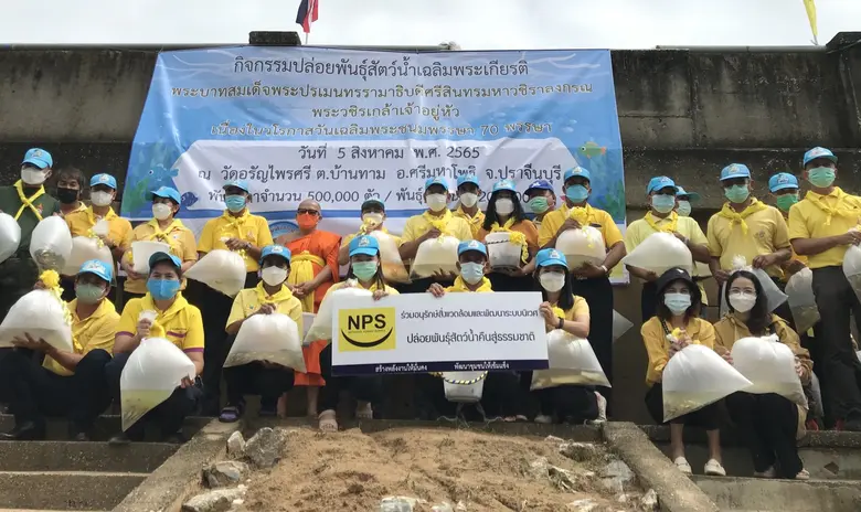 NPS จัดกิจกรรมปล่อยพันธุ์สัตว์น้ำเฉลิมพระเกียรติ 700,000 ตัว