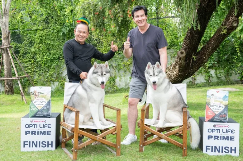 วิลลี่ หอย เปิดตัวอาหารสุนัขเกรดพรีเมี่ยม Opti Life Prime พร้อมร่วมงาน Hato x OPTILIFE PRIME  เพื่อโภชนาการที่สมบูรณ์