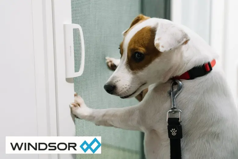 วินด์เซอร์" เอาใจคนรักสัตว์เลี้ยง เปิดตัวนวัตกรรมมุ้งไวนิล รุ่น "Pet Friendly"                                  ในงาน Pet Expo 2022 เหนียว ทน ปลอดภัย น้องหมาแมวจะซนแค่ไหน ก็สบายใจว่าเอาอยู่