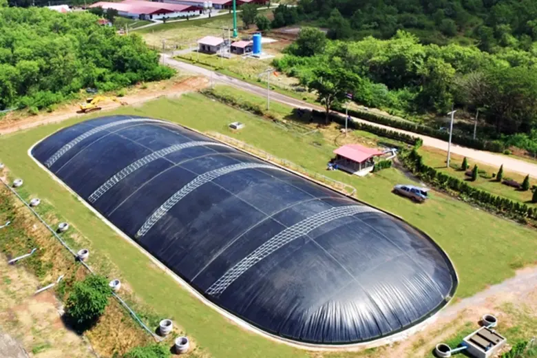 CPF โชว์ความสำเร็จ ระบบ "ไบโอแก๊ส" หนุนปศุสัตว์รักษ์โลก ตามแนวทาง BCG Model