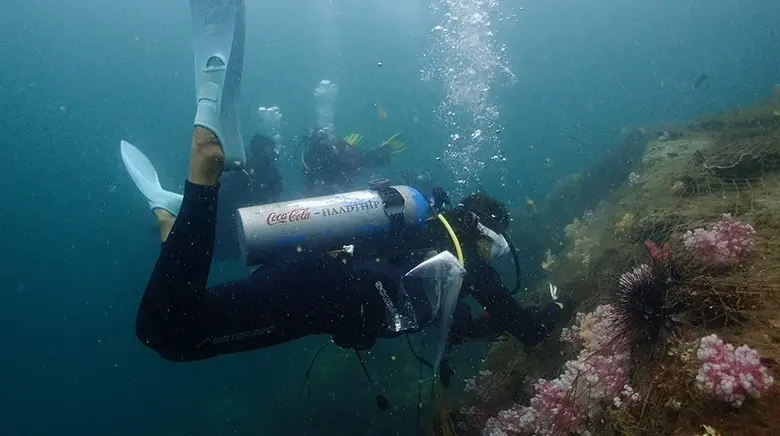 5 ปี โครงการอนุรักษ์ปะการังทะเลใต้ หรือ Marine Camp คืนความอุดมสมบูรณ์กลับสู่นิเวศใต้ท้องทะเลสตูล
