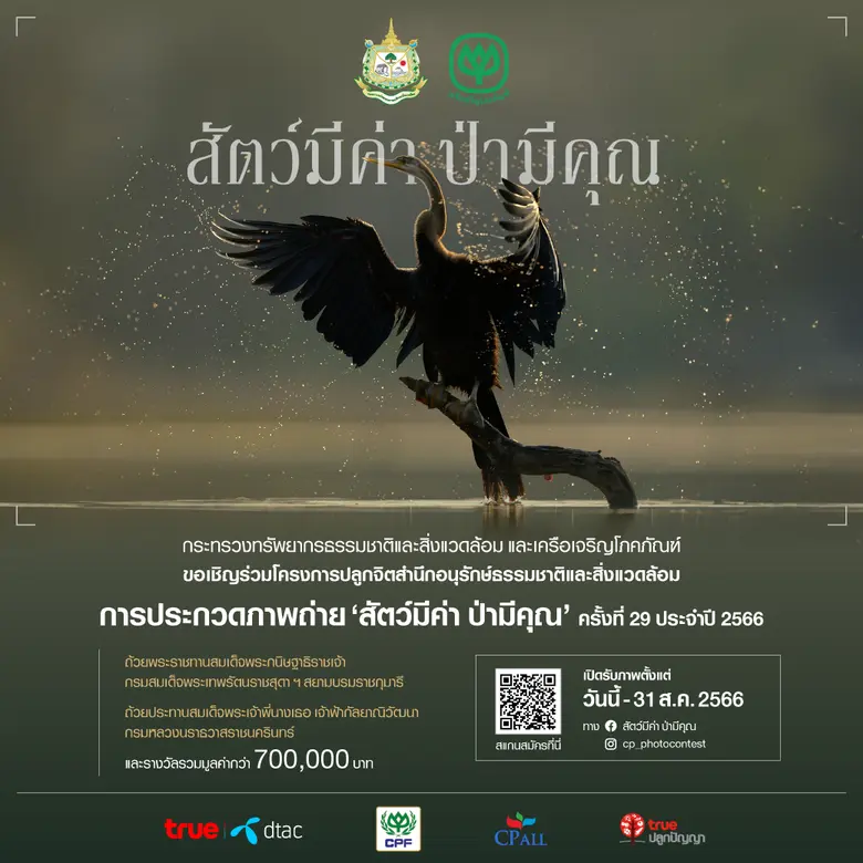เพราะสัตว์มีค่า ป่ามีคุณ…กระทรวงทรัพยากรฯ และเครือซีพี ชวนคนไทยสะท้อนคุณค่าความงดงามของธรรมชาติ ผ่านภาพถ่ายและคลิปวิดีโอ ในการประกวดภาพถ่าย 'สัตว์มีค่า ป่ามีคุณ' ครั้งที่ 29 ประจำปี 2566 ชิงรางวัลรวมมูลค่ากว่า 700,000 บาท เปิดรับผลงานตั้งแต่วันนี้ถึง 31 ส
