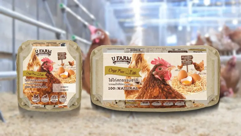 CP Foods Produces Asia's First Carbon-Neutral Cage-Free Egg, Promoting Responsible Consumption of Animal-Friendly and Eco-Friendly Eggs.