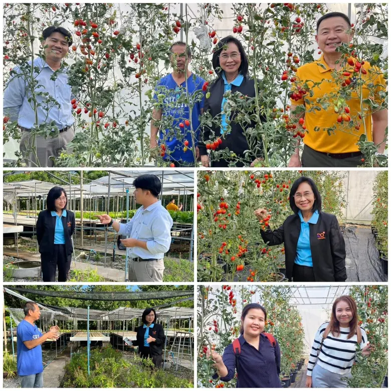 วว. ลงพื้นที่ภูเก็ตติดตามการดำเนินโครงการพัฒนาระบบการปลูกเลี้ยงไม้ดอกไม้ประดับในระบบเกษตรปลอดภัย